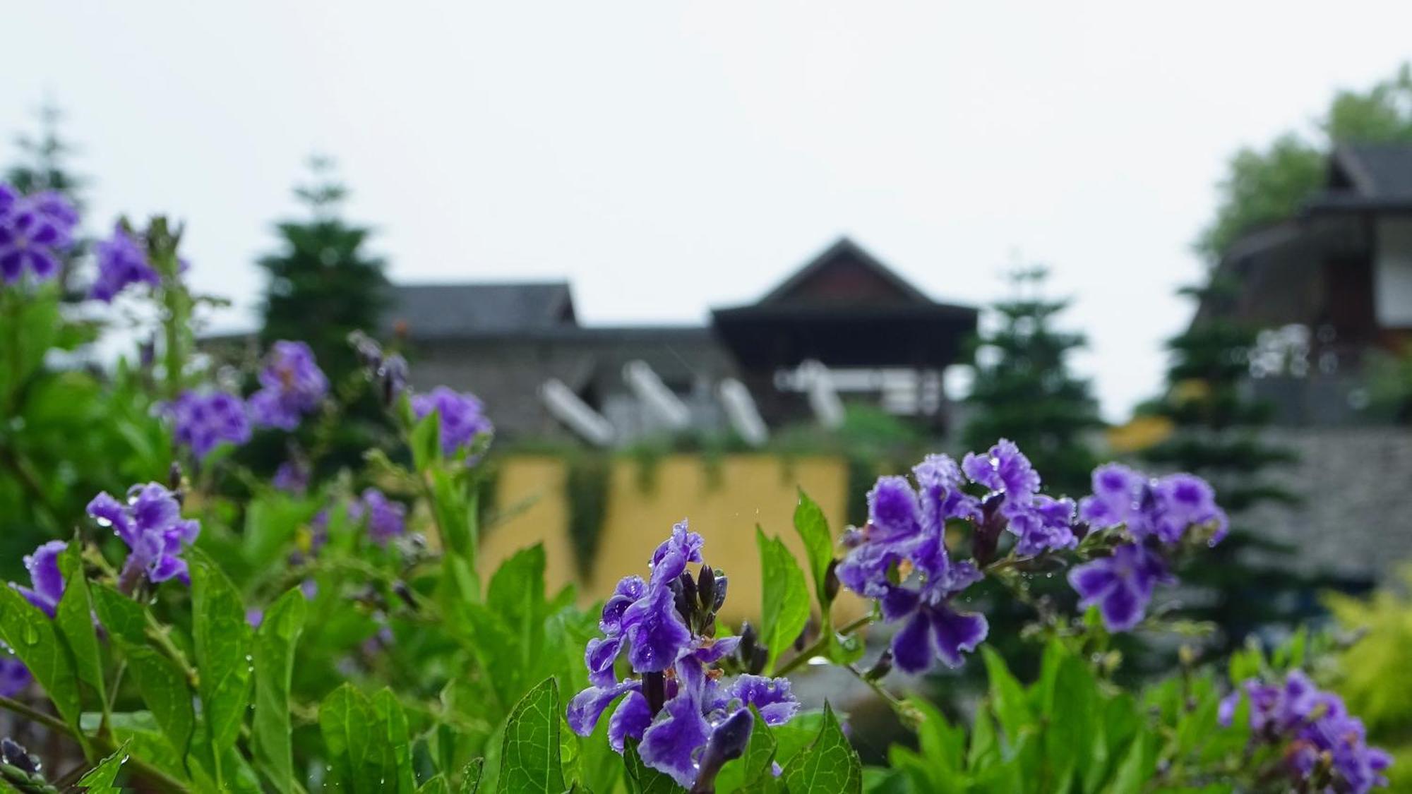 Onsen At Moncham Hotel Mae Rim Exterior photo